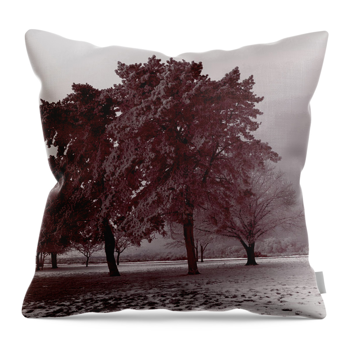 Tree Throw Pillow featuring the photograph Ice Storm by Jeff Swan