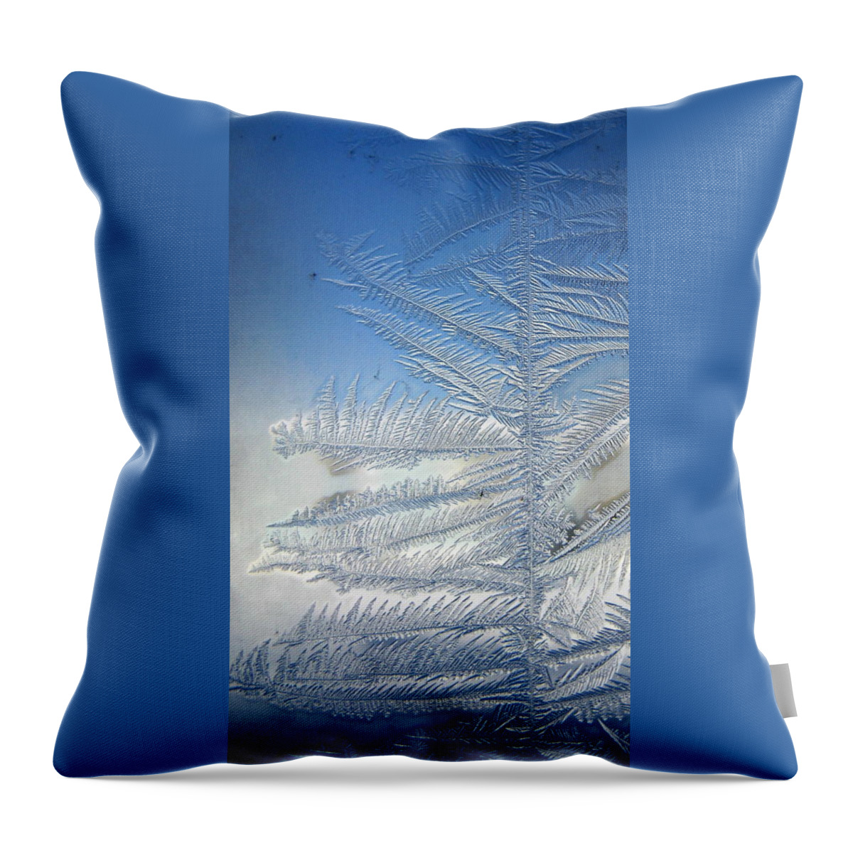 Ice Throw Pillow featuring the photograph Ice Tree by Rhonda Barrett