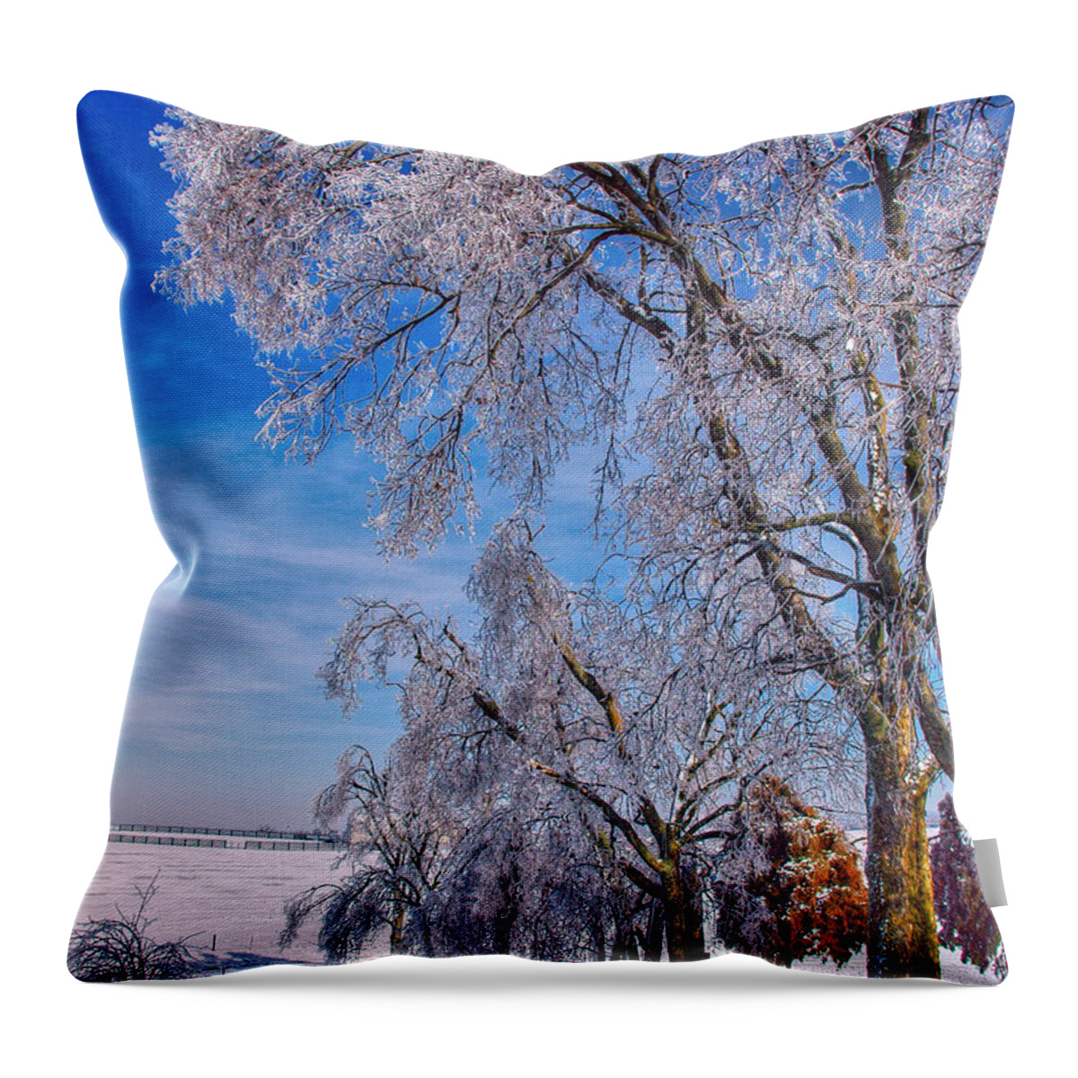 Land Throw Pillow featuring the photograph Ice Trees in Sun by Sam Davis Johnson
