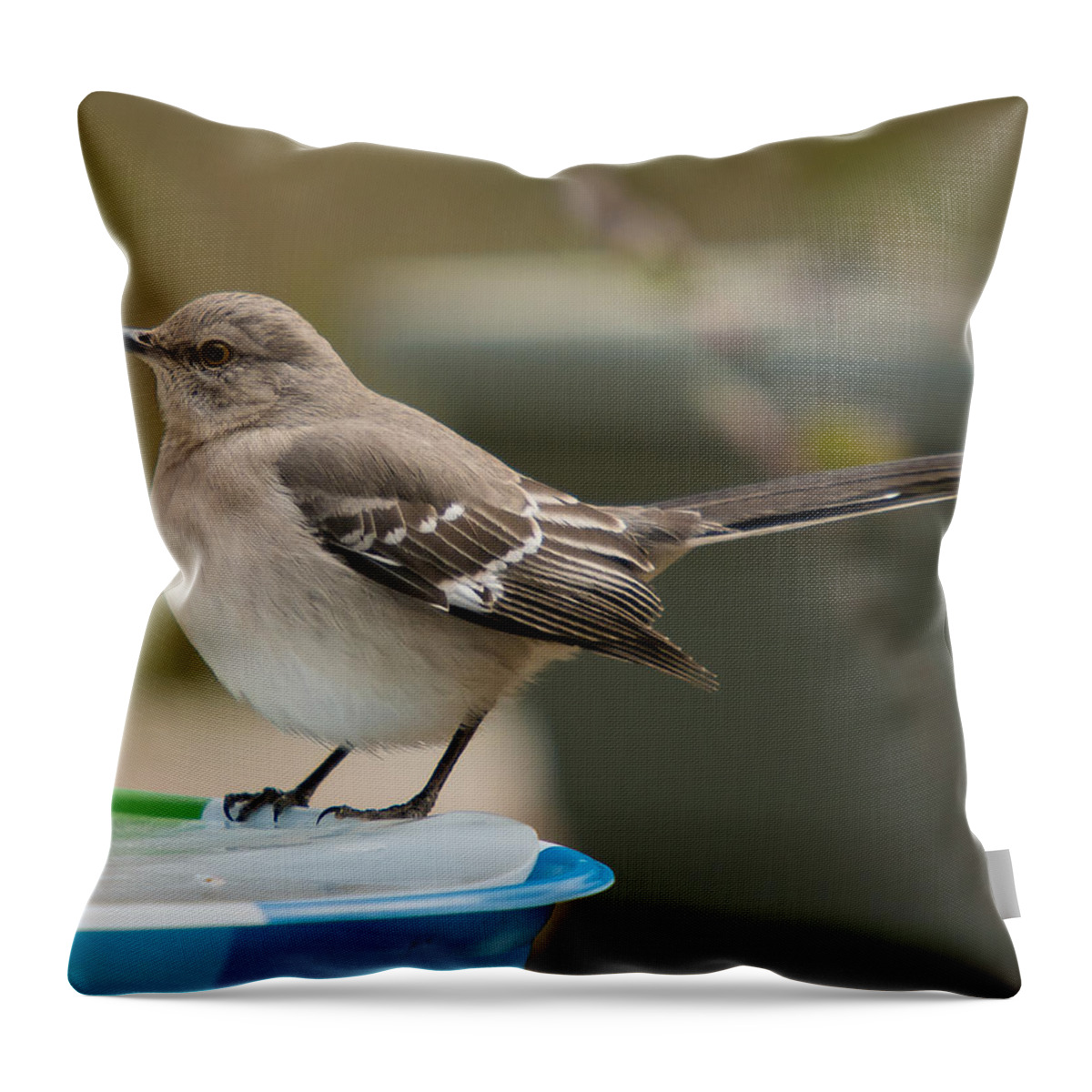 Ice Water Throw Pillow featuring the photograph Ice Water by Robert L Jackson