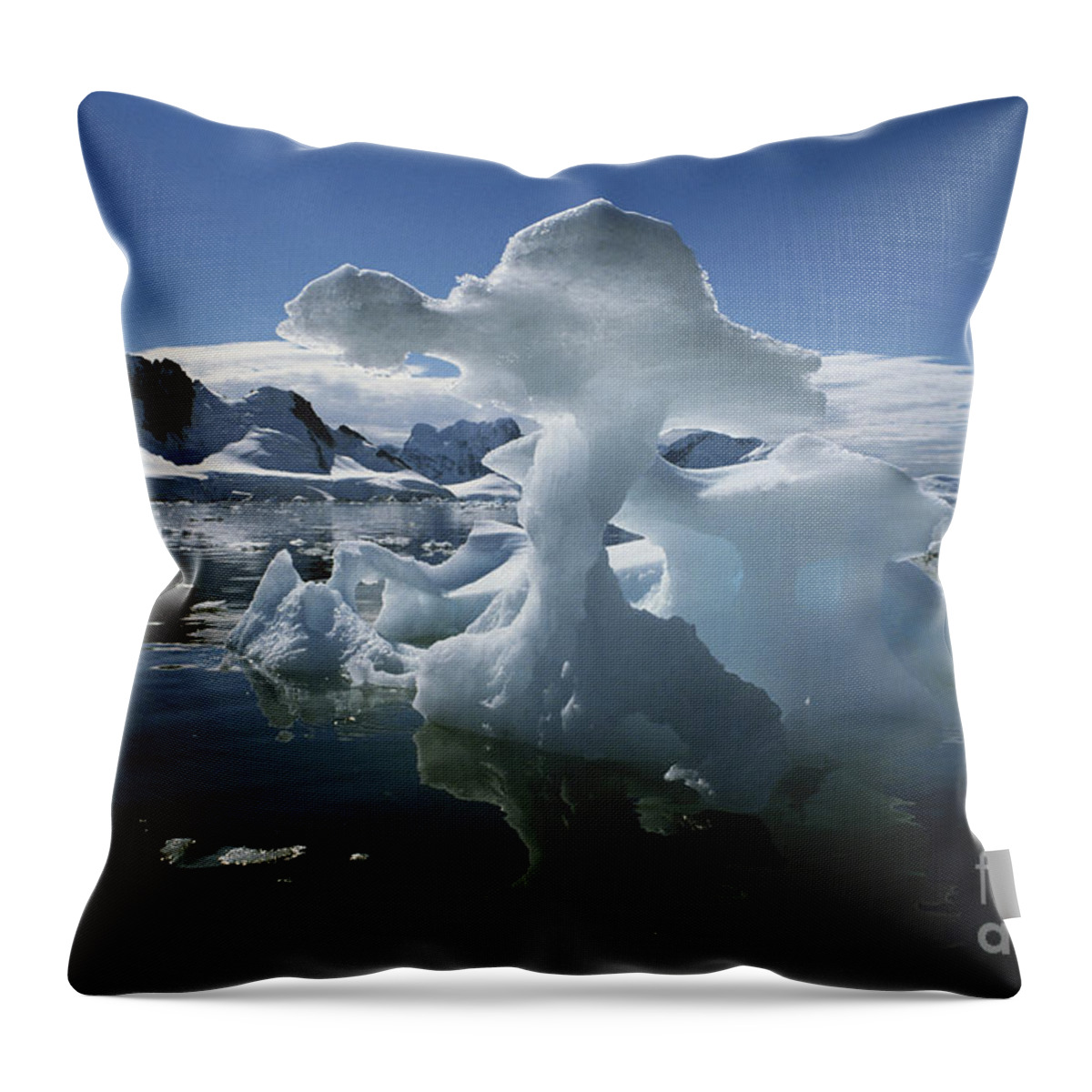 Ice Throw Pillow featuring the photograph Icebergs, Antarctica by Robert Hernandez