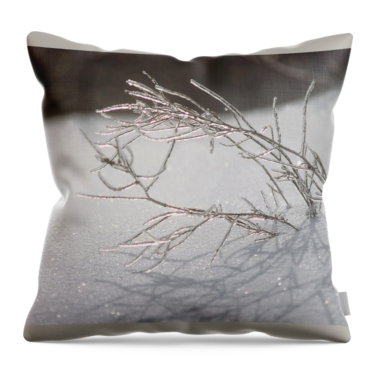 Ice Throw Pillow featuring the photograph Iced by DArcy Evans