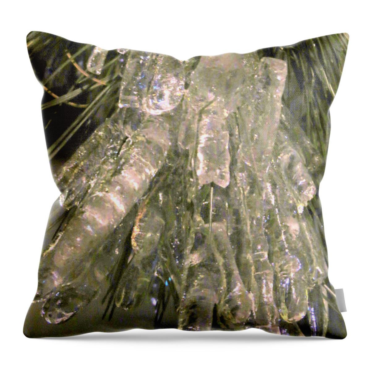 Ice Throw Pillow featuring the photograph Iced needles by Frank Townsley