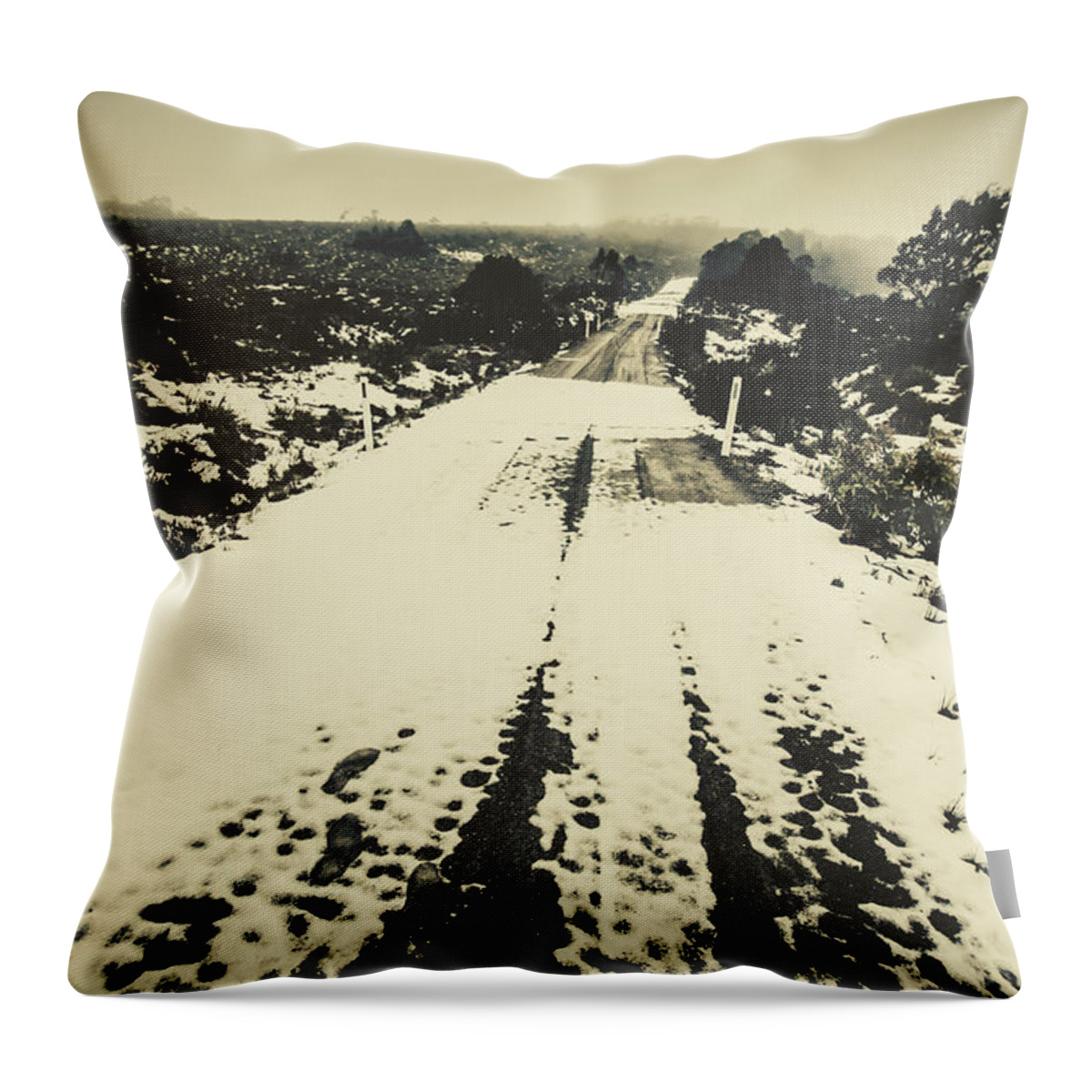 Winter Throw Pillow featuring the photograph Iced over road by Jorgo Photography