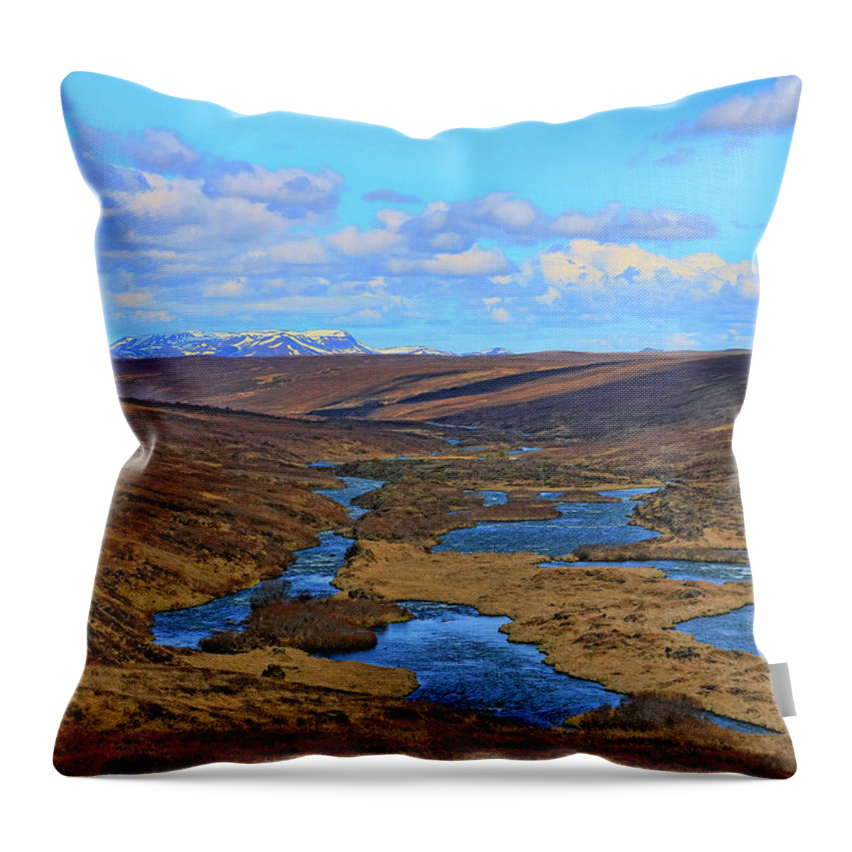 Iceland Throw Pillow featuring the photograph Iceland Landscape # 1 by Allen Beatty