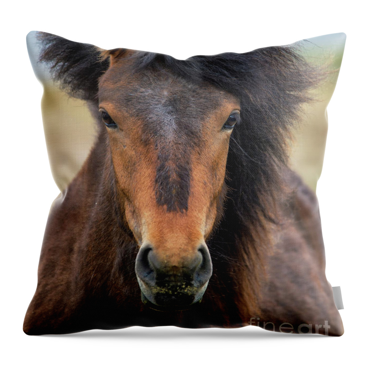 Festblues Throw Pillow featuring the photograph Icelandic Equine Beauty.. by Nina Stavlund