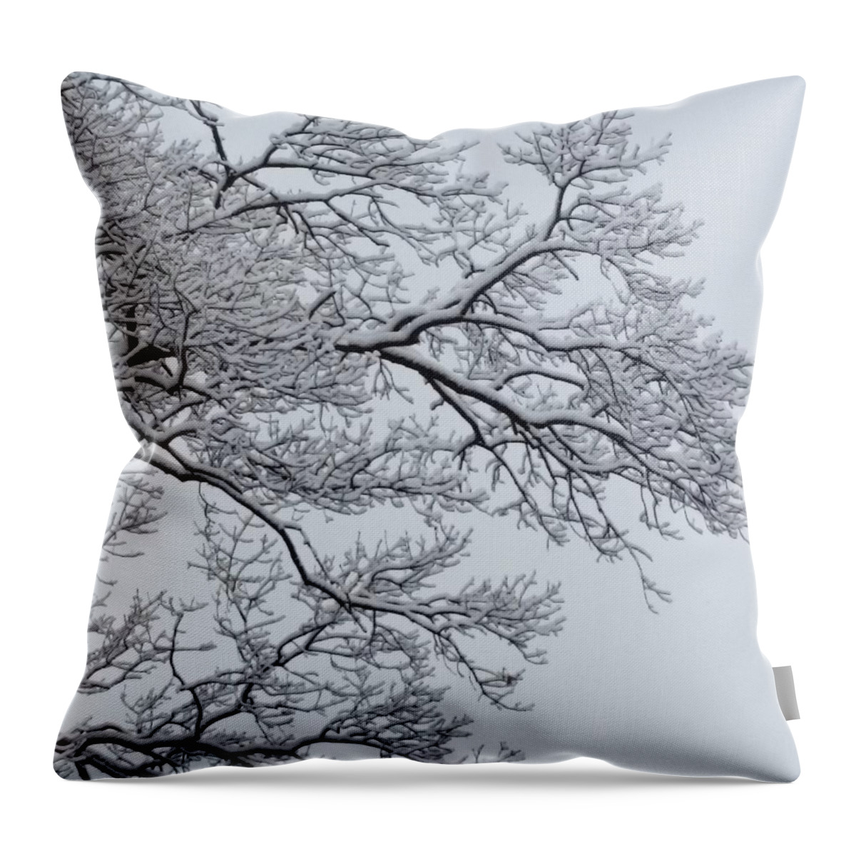 Ice Throw Pillow featuring the photograph Icey Winter Branch by Vic Ritchey
