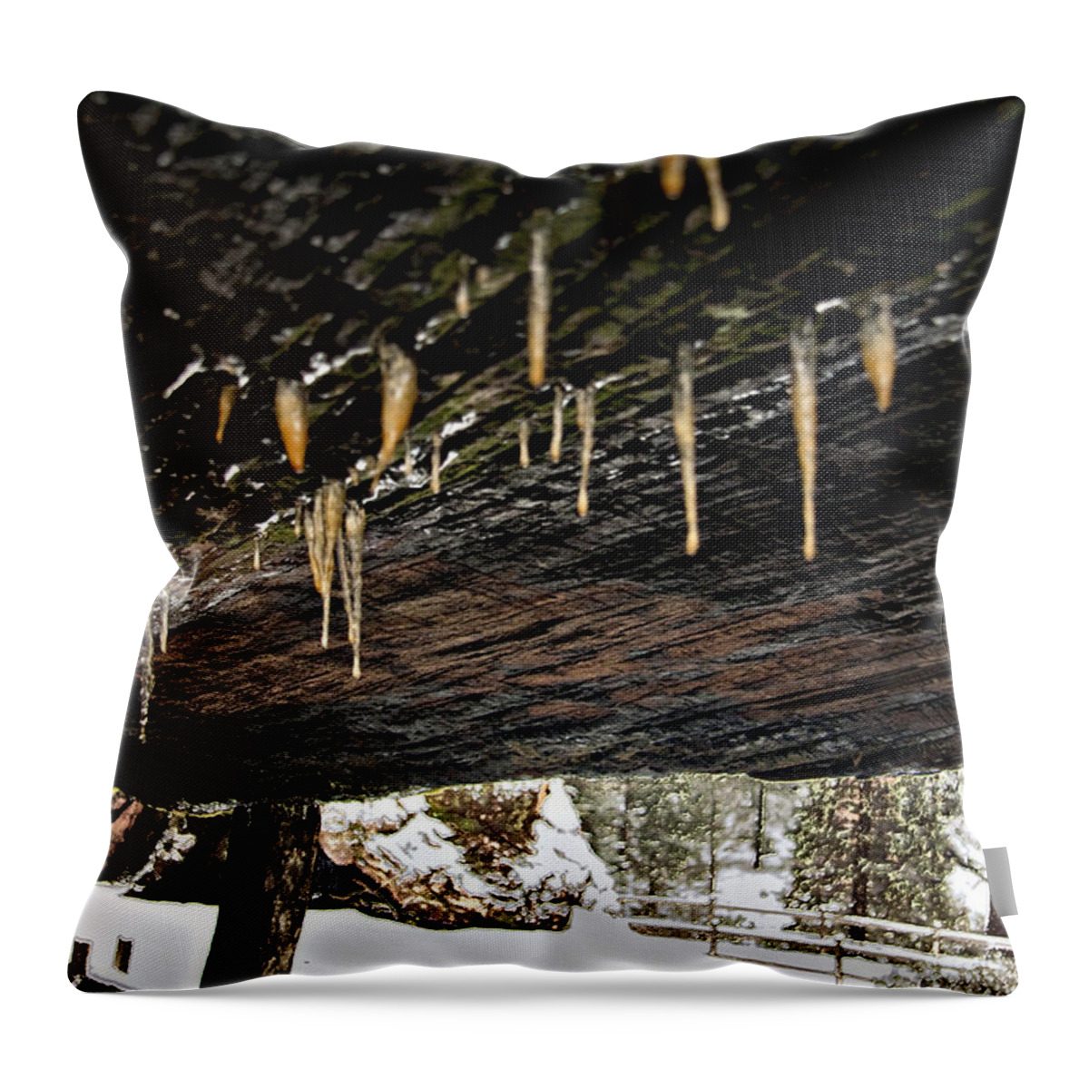 Landscape Throw Pillow featuring the photograph Icicles in the Tree by David Martin