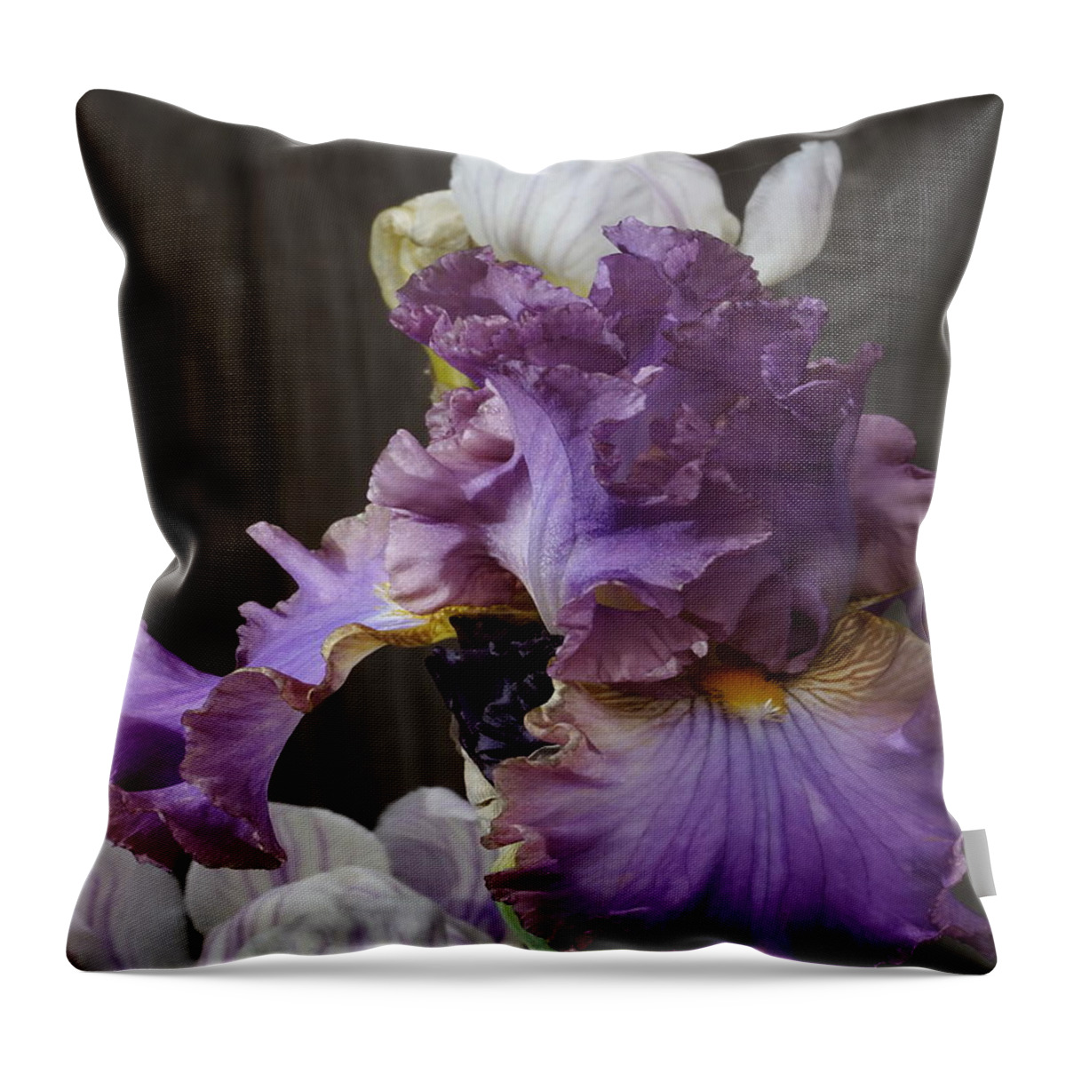 Botanical Throw Pillow featuring the photograph Icing on Lavender Iris by Richard Thomas