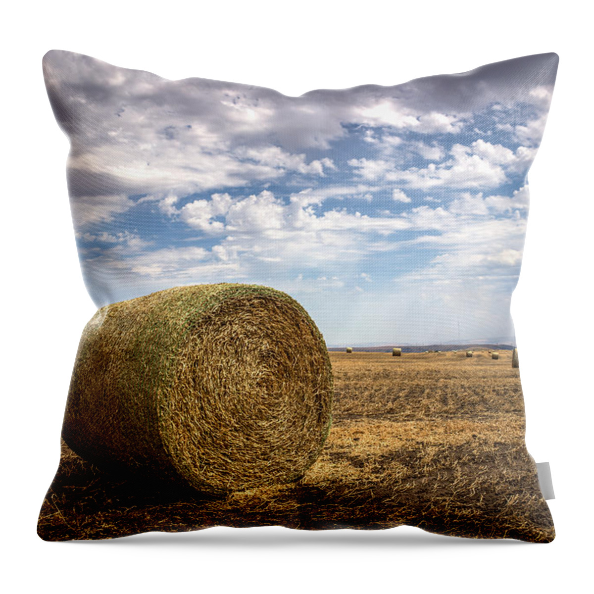 Lewiston Idaho Id Clarkston Washington Wa Lc-valley Lc Valley Pacific Northwest Lewis Clark Landscape Palouse Hay Haybale Bale Roll Field Blue Sky White Clouds Throw Pillow featuring the photograph Idaho Hay Bale by Brad Stinson