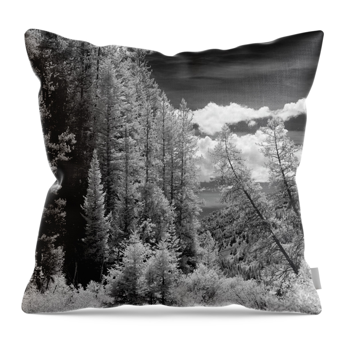 Scenic Drive Throw Pillow featuring the photograph Idaho Passage by Brian Duram
