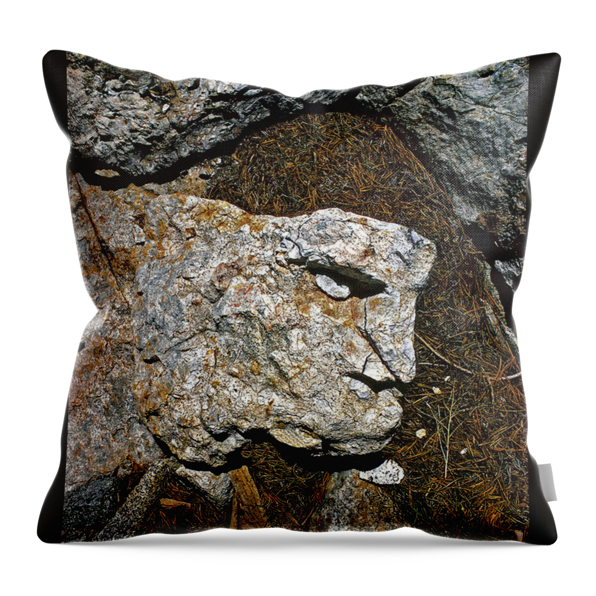 The Walkers Throw Pillow featuring the photograph If Looks Could Grill by The Walkers