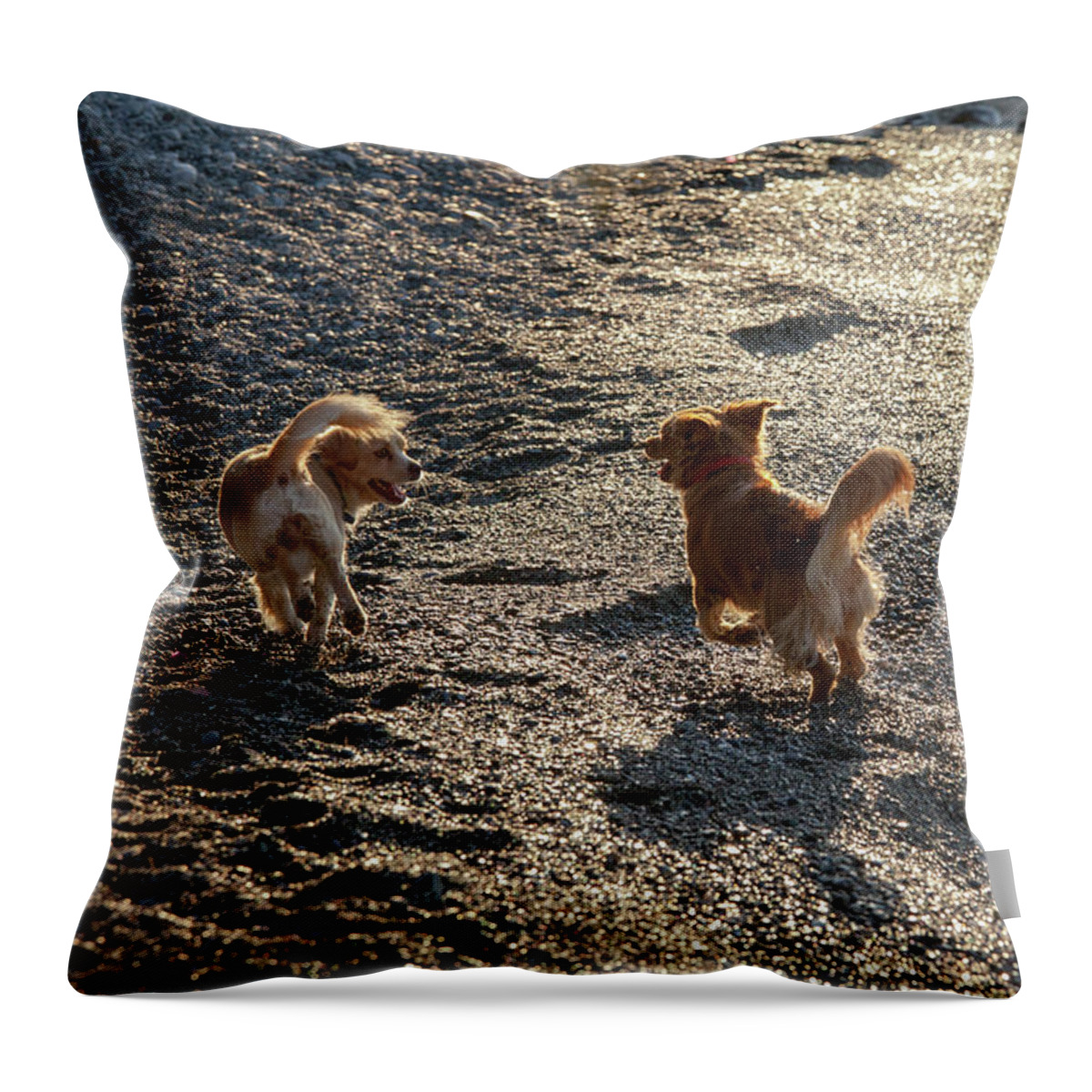 Greece Throw Pillow featuring the photograph If you want a friend be a friend by Casper Cammeraat