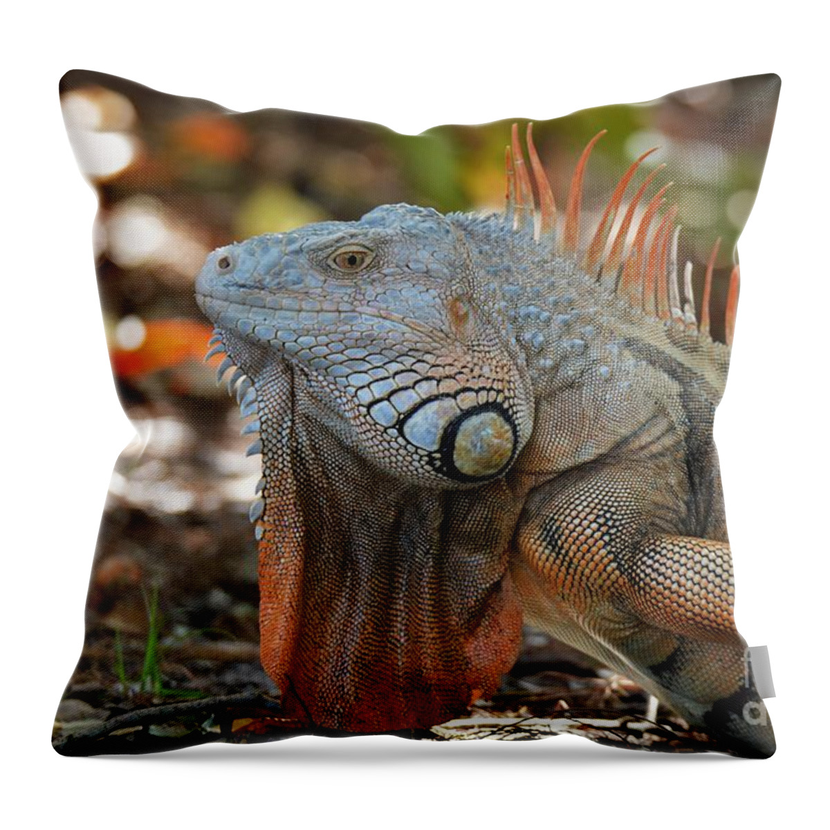 Orange Iguana Throw Pillow featuring the photograph Iguana by Julie Adair