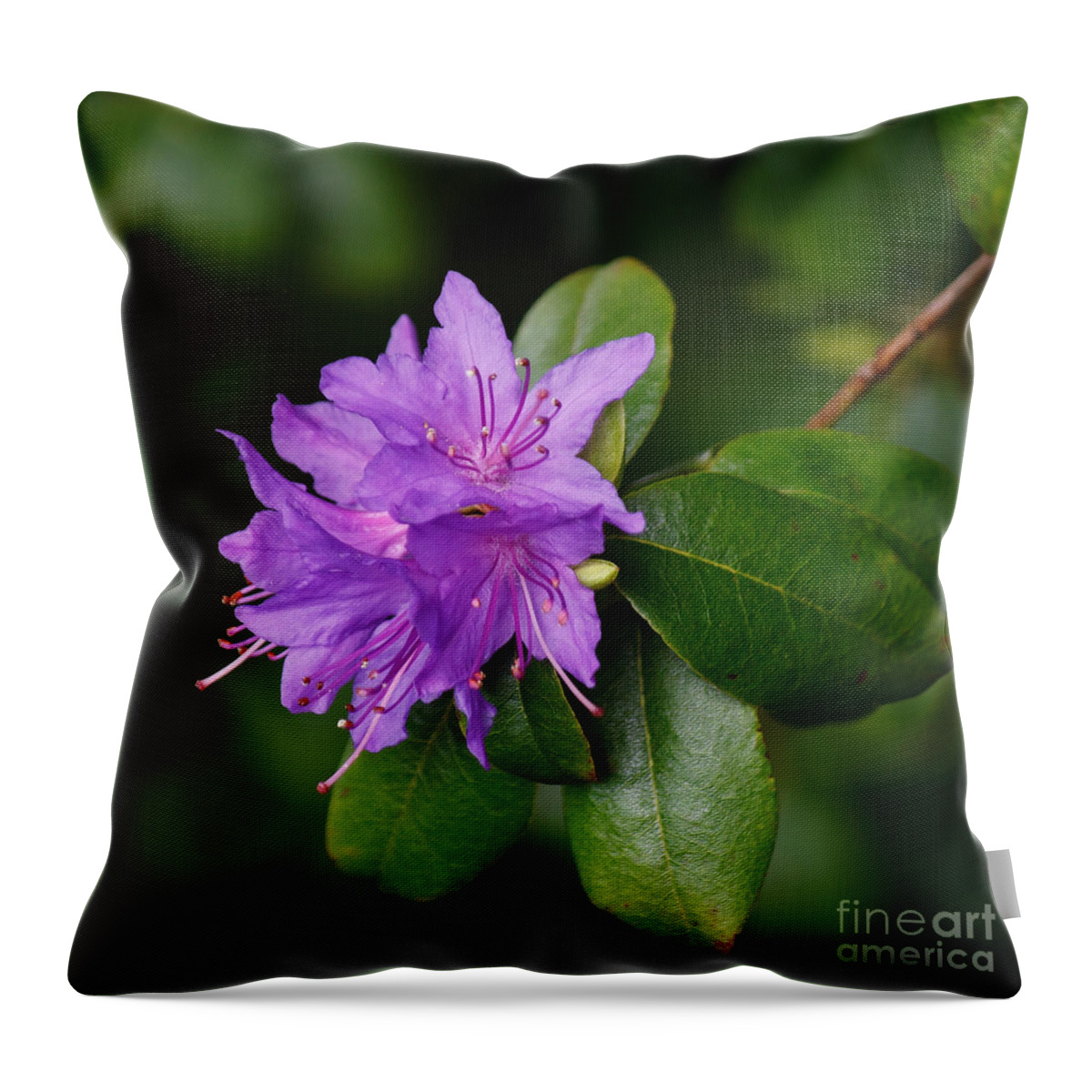 Botanical Throw Pillow featuring the photograph Ilam Violet by Chris Anderson