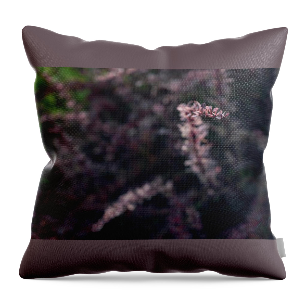 Plants Throw Pillow featuring the photograph Rise by Gene Garnace