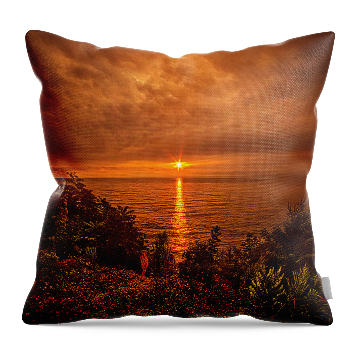 Lake Throw Pillow featuring the photograph I'll Dream of You Again by Phil Koch