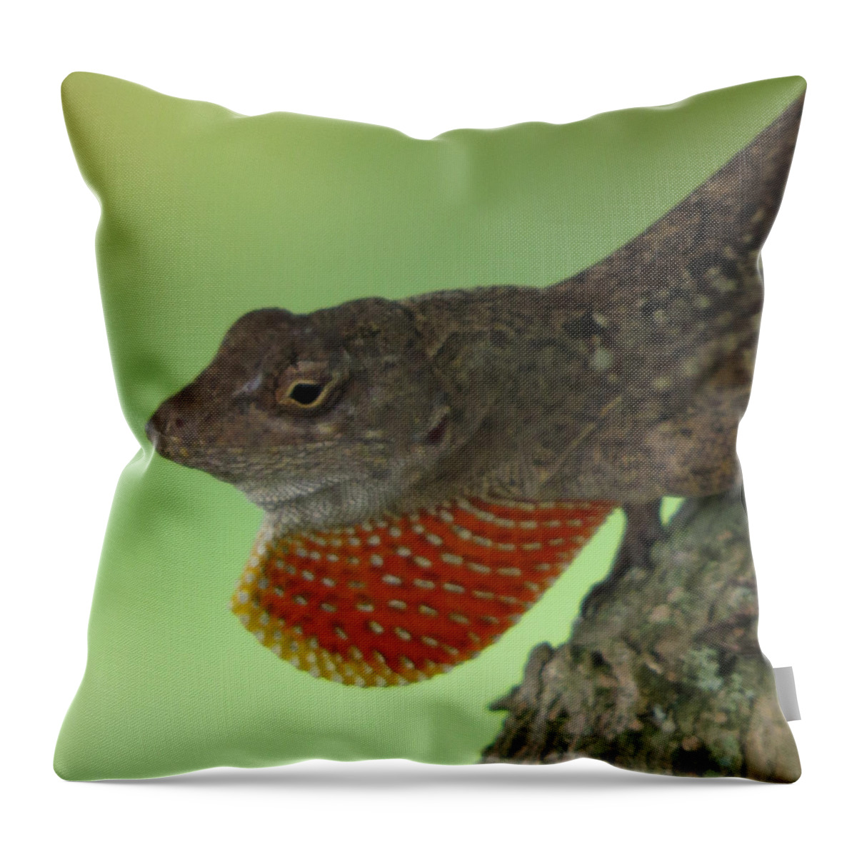 Lizard Throw Pillow featuring the photograph I'll Show You by T Guy Spencer