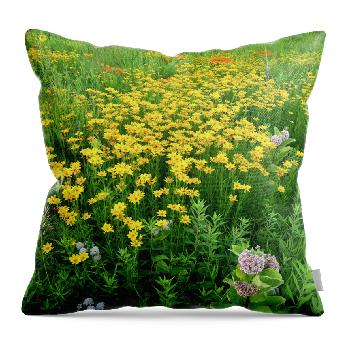 Illinois Throw Pillow featuring the photograph Illinois Prairie Wildflowers by Ray Mathis