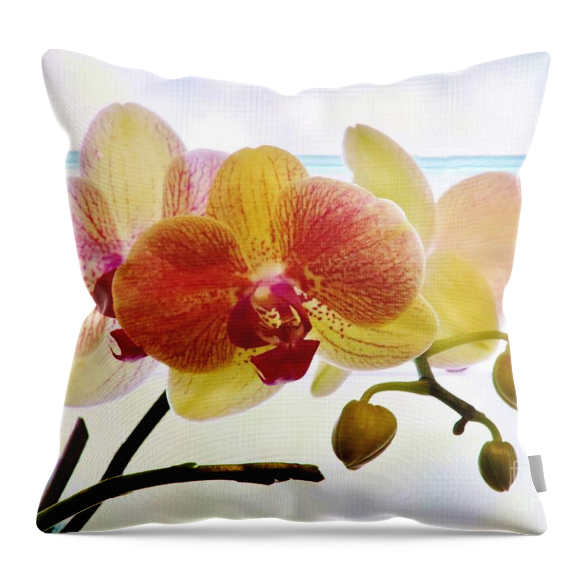 Orchid Throw Pillow featuring the photograph Illuminated by Craig Wood