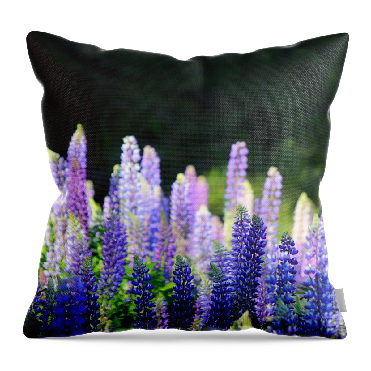  Throw Pillow featuring the photograph Illuminated Lupines by Hanni Stoklosa