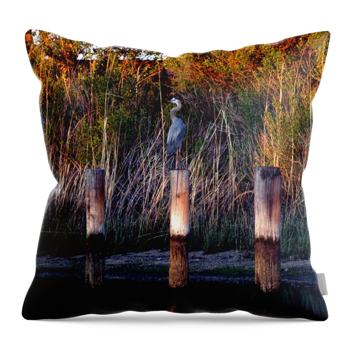 Clay Throw Pillow featuring the photograph Illusion by Clayton Bruster