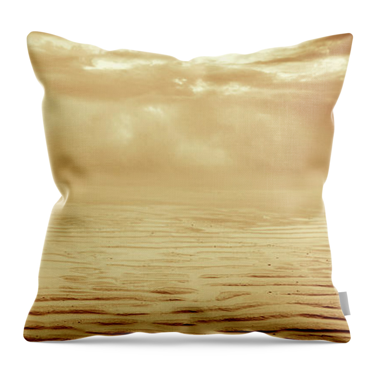 Dipasquale Throw Pillow featuring the photograph Illusion Never Changed Into Something Real by Dana DiPasquale