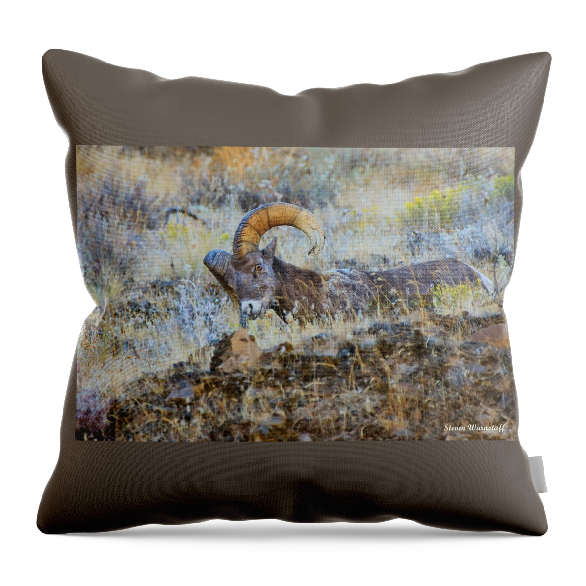 Oregon Throw Pillow featuring the photograph I'm Com'n For You by Steve Warnstaff