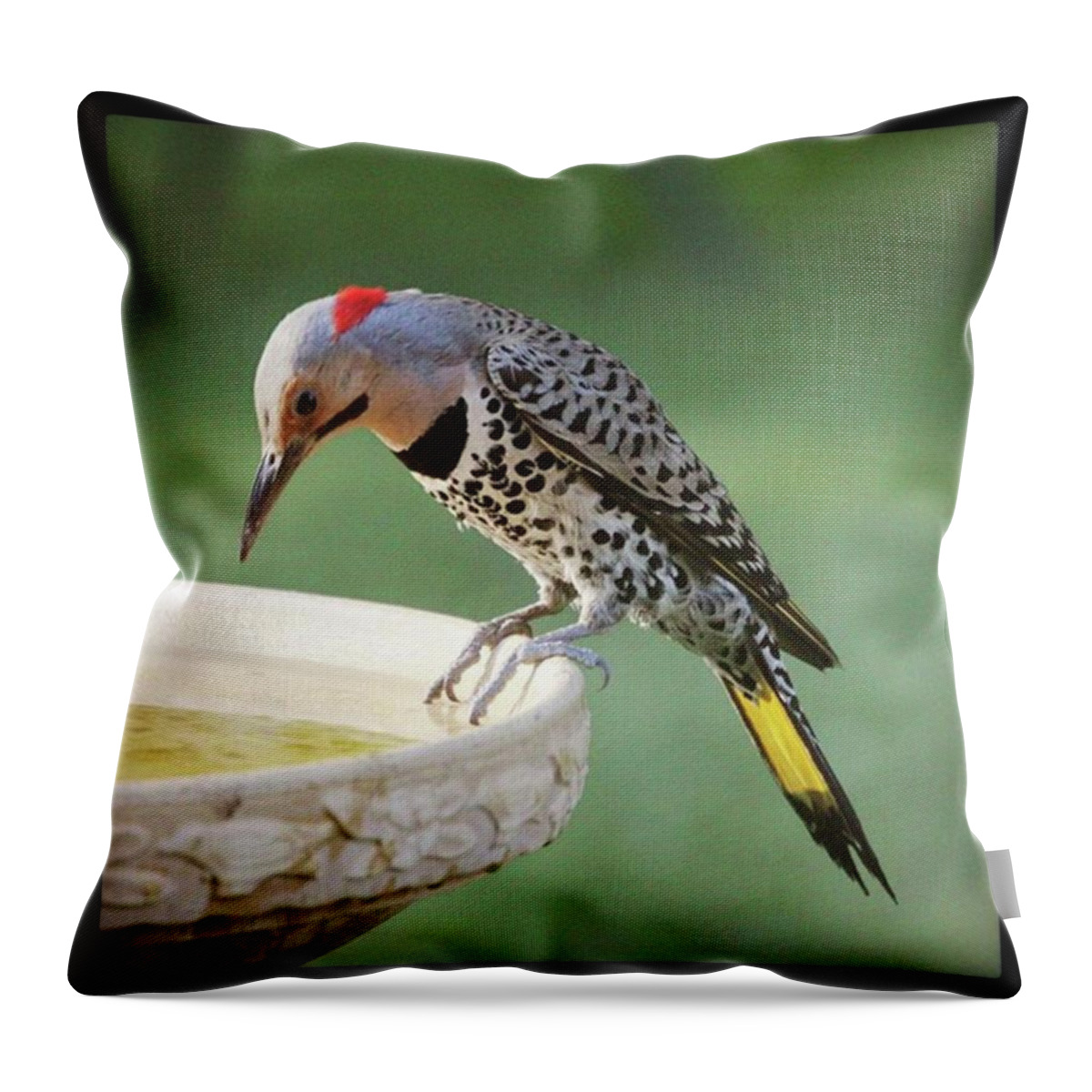Northernflicker Throw Pillow featuring the photograph I See My Reflection by Hermes Fine Art