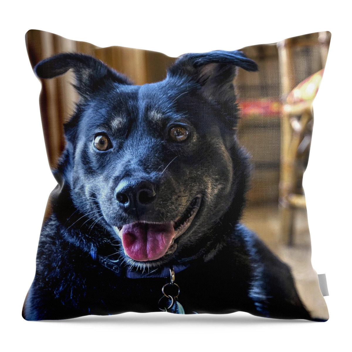 Dog Throw Pillow featuring the photograph Ready When You Are by Keith Armstrong