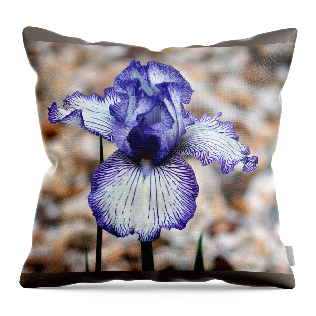Flowers Throw Pillow featuring the photograph I'm the Show by DB Hayes