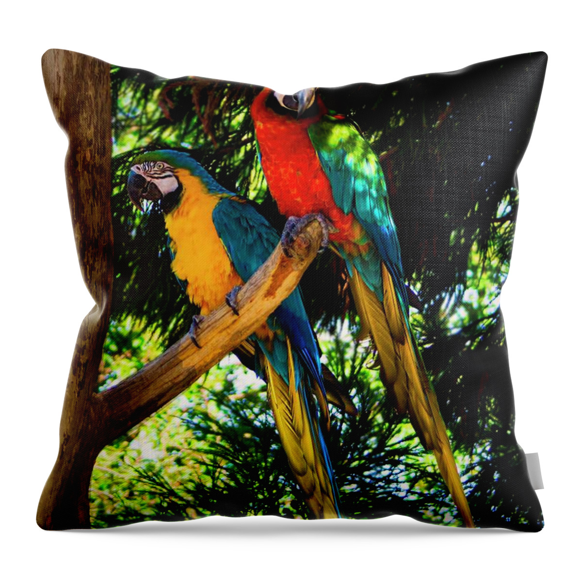 Parrott Throw Pillow featuring the photograph Image Of The Parrott by M Three Photos