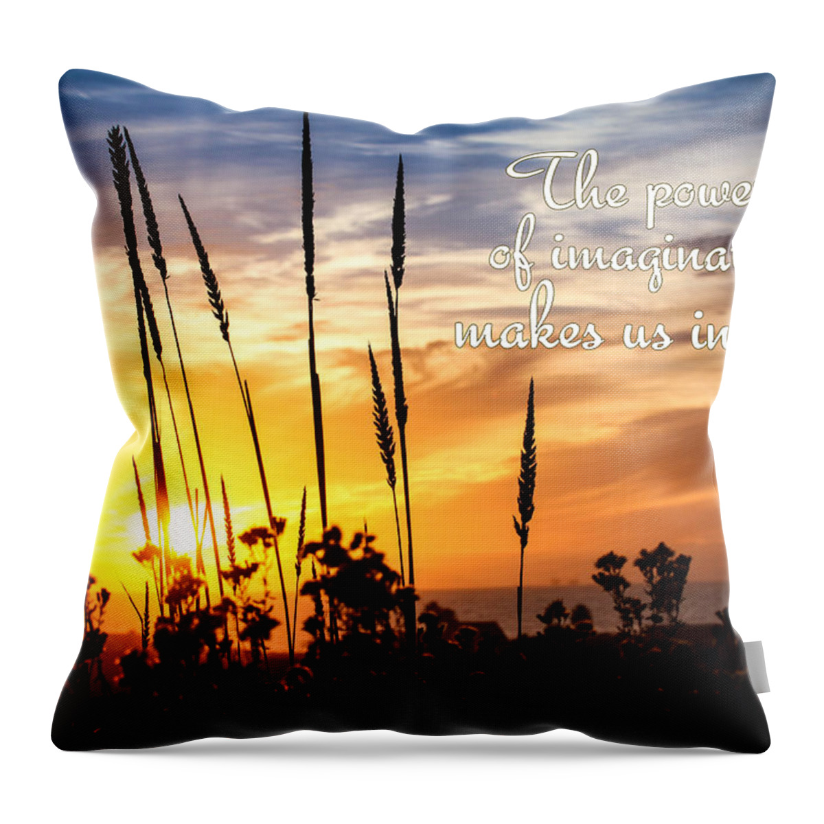 Text Throw Pillow featuring the photograph Imagination by Kip Krause