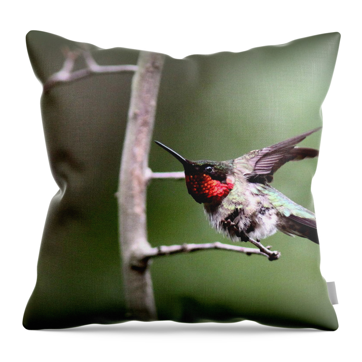 Ruby-throated Hummingbird Throw Pillow featuring the photograph IMG_6521 - Ruby-throated Hummingbird by Travis Truelove