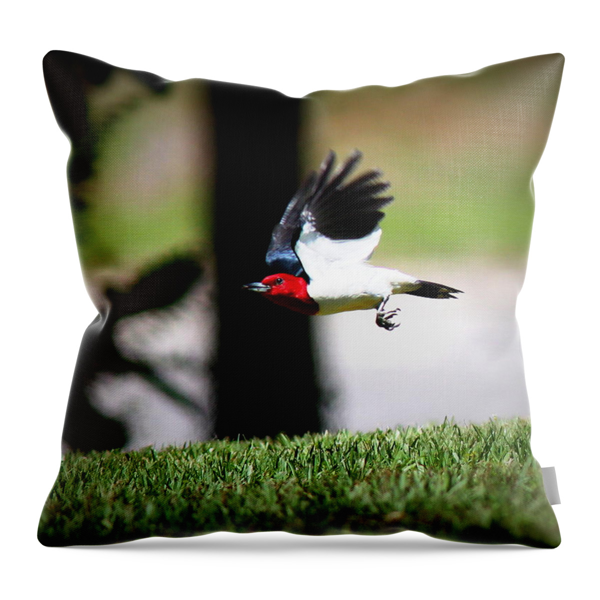  Red-headed Woodpecker Throw Pillow featuring the photograph IMG_9193-001 - Red-headed Woodpecker by Travis Truelove