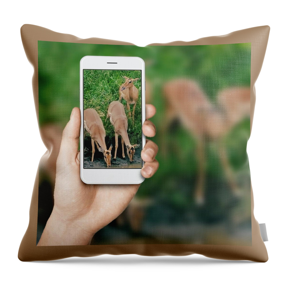 Digital Throw Pillow featuring the digital art Impala by Vijay Sharon Govender