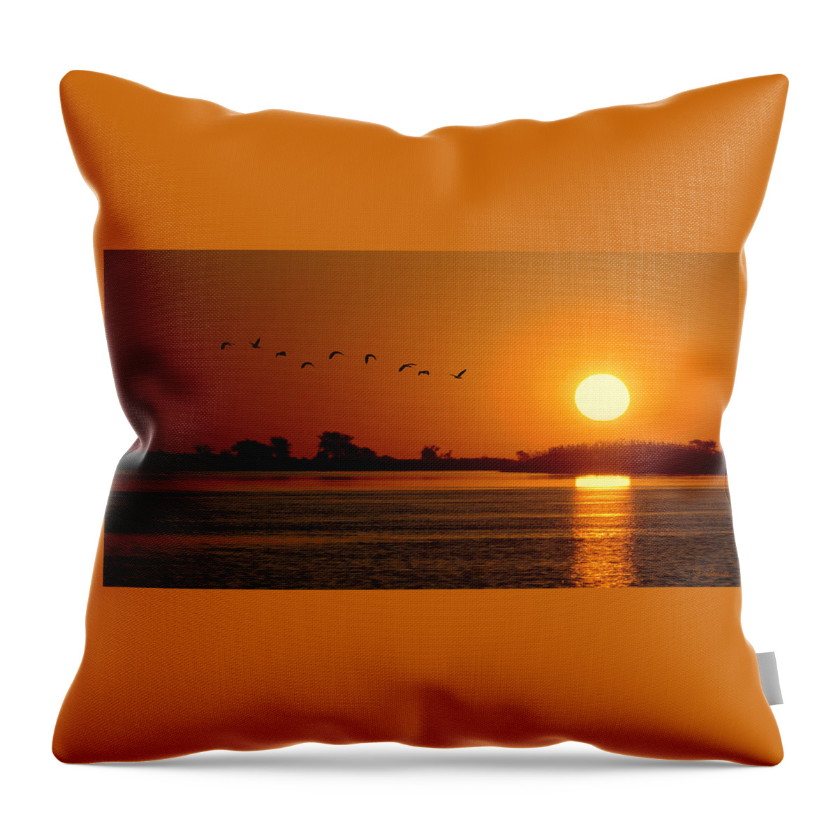 Africa Throw Pillow featuring the photograph Impalila Island Sunset No. 1 by Joe Bonita