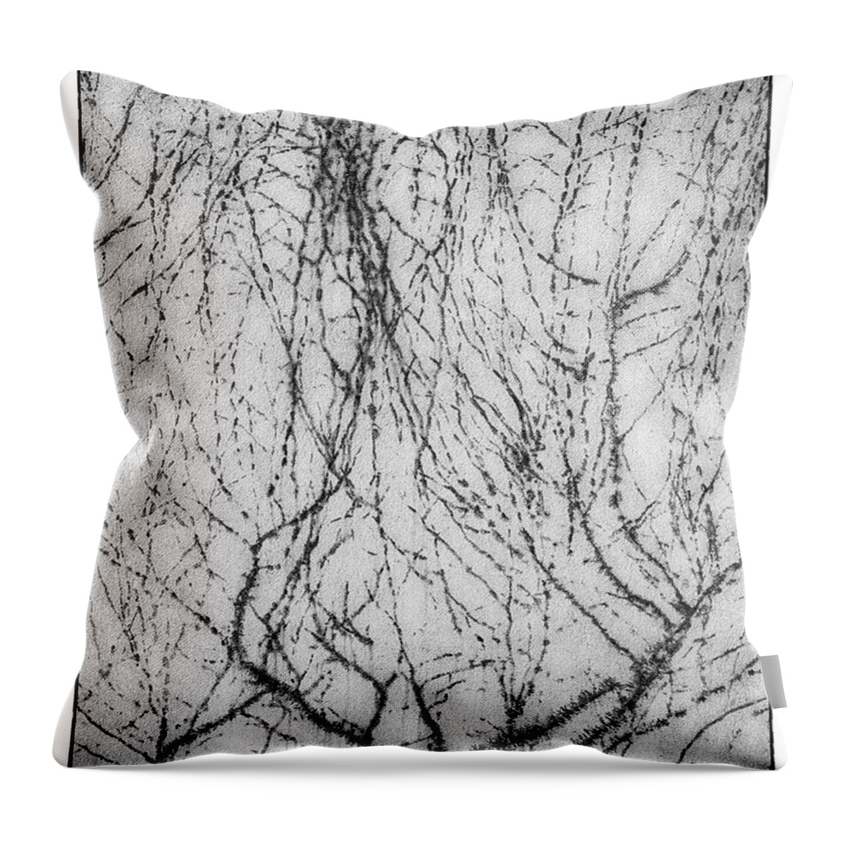 Abstract Throw Pillow featuring the photograph Impressions by Hugh Smith