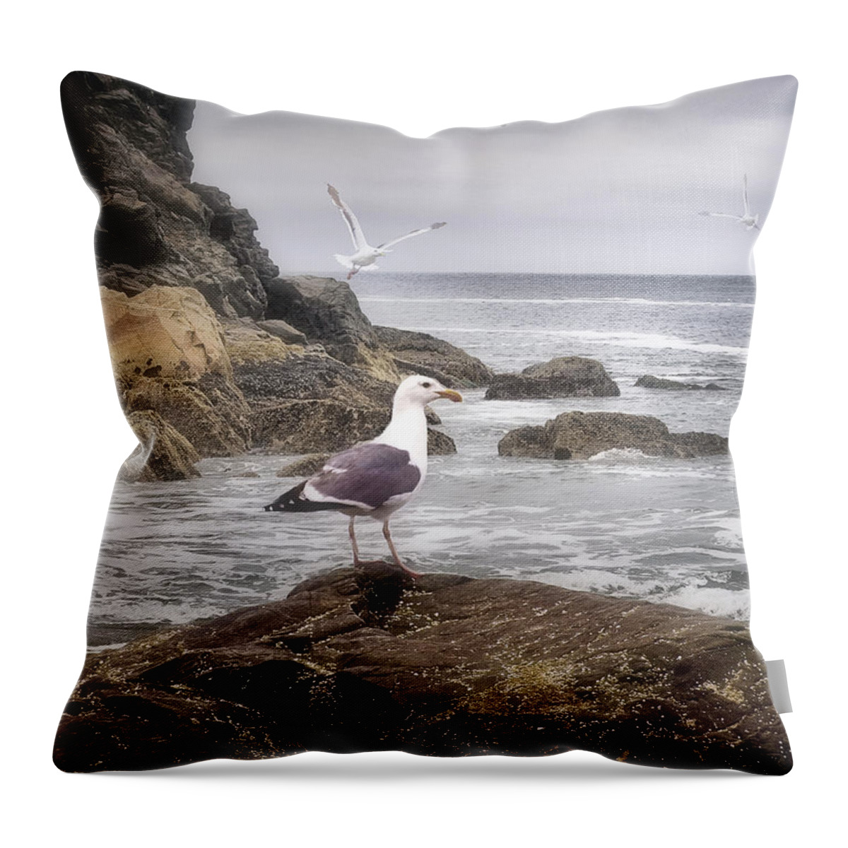 Oregon Coast Throw Pillow featuring the photograph In A Mood by Diane Schuster