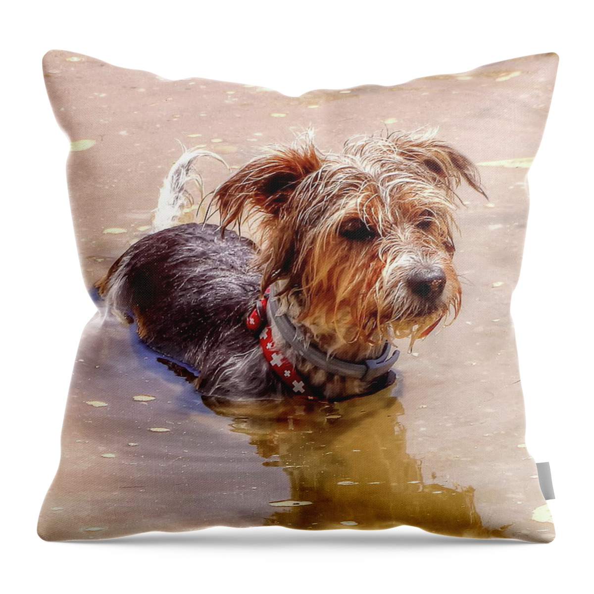 Dog Throw Pillow featuring the photograph In At The Deep End by Jeff Townsend