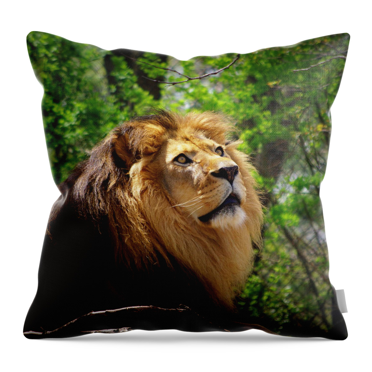 Lion Throw Pillow featuring the photograph In Awe of You by Linda Mishler