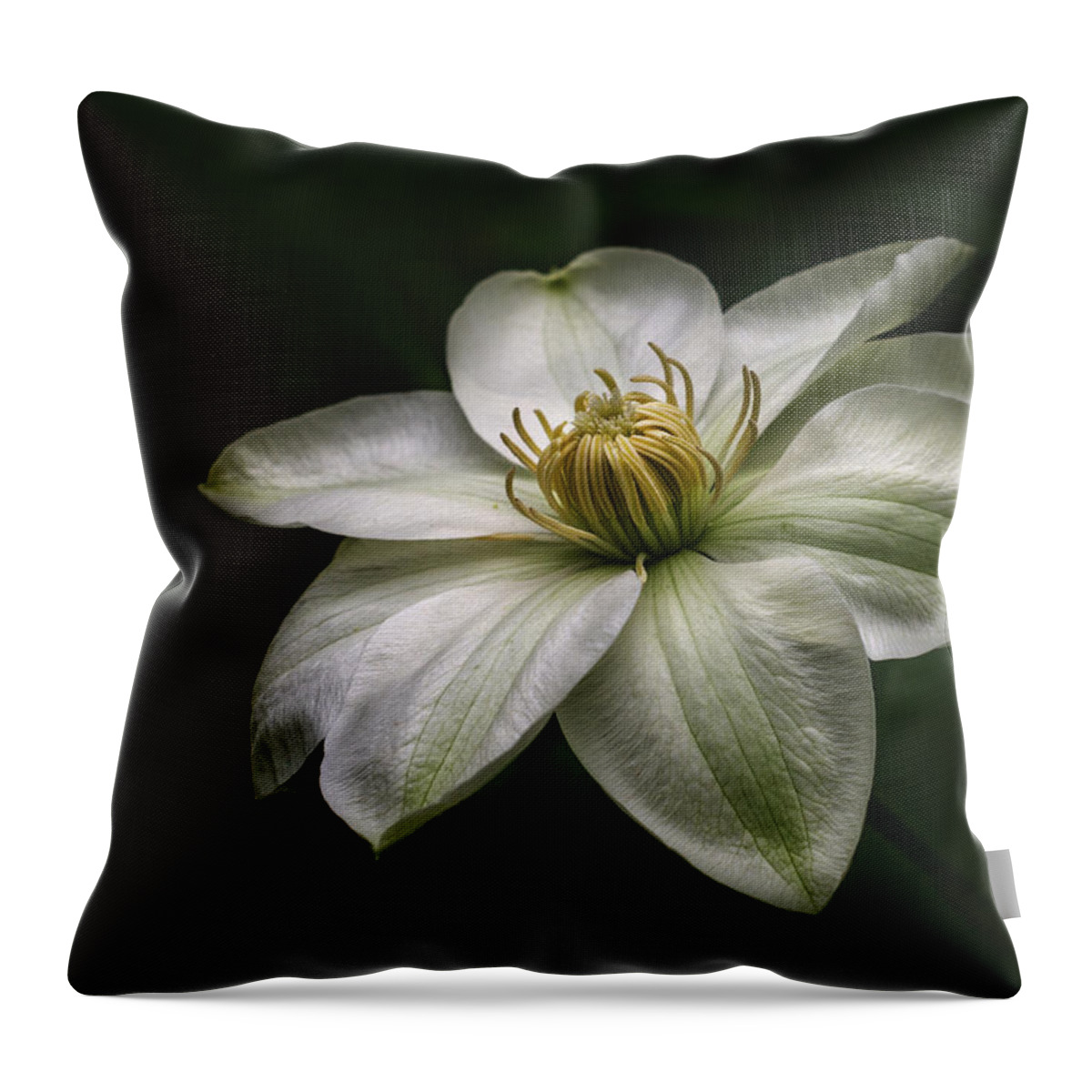  Clematis Throw Pillow featuring the photograph In Bloom by Eleanor Bortnick