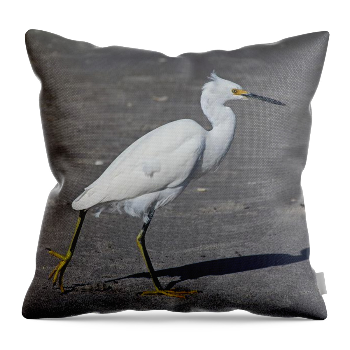 Snowy Egret Throw Pillow featuring the photograph In Cold Pursuit by Michiale Schneider