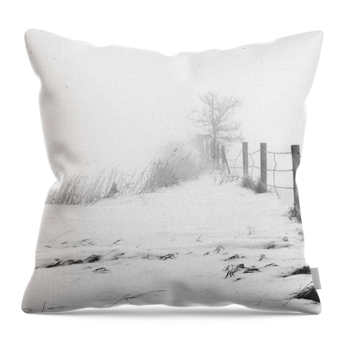 Landscape Throw Pillow featuring the photograph In Defense of Snow by Julie Lueders 