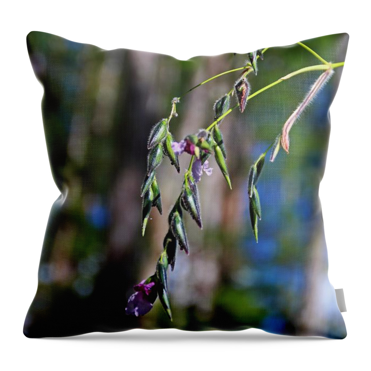 Purple Throw Pillow featuring the photograph In Defiance of Winter by Michiale Schneider