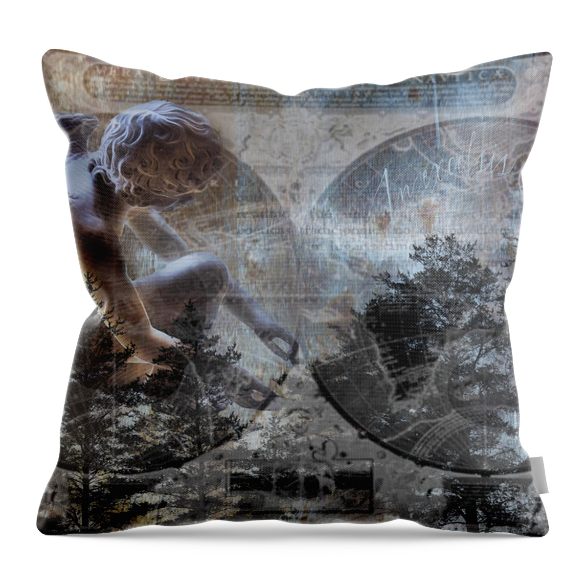 Evie Throw Pillow featuring the photograph In Excelsis Deo by Evie Carrier