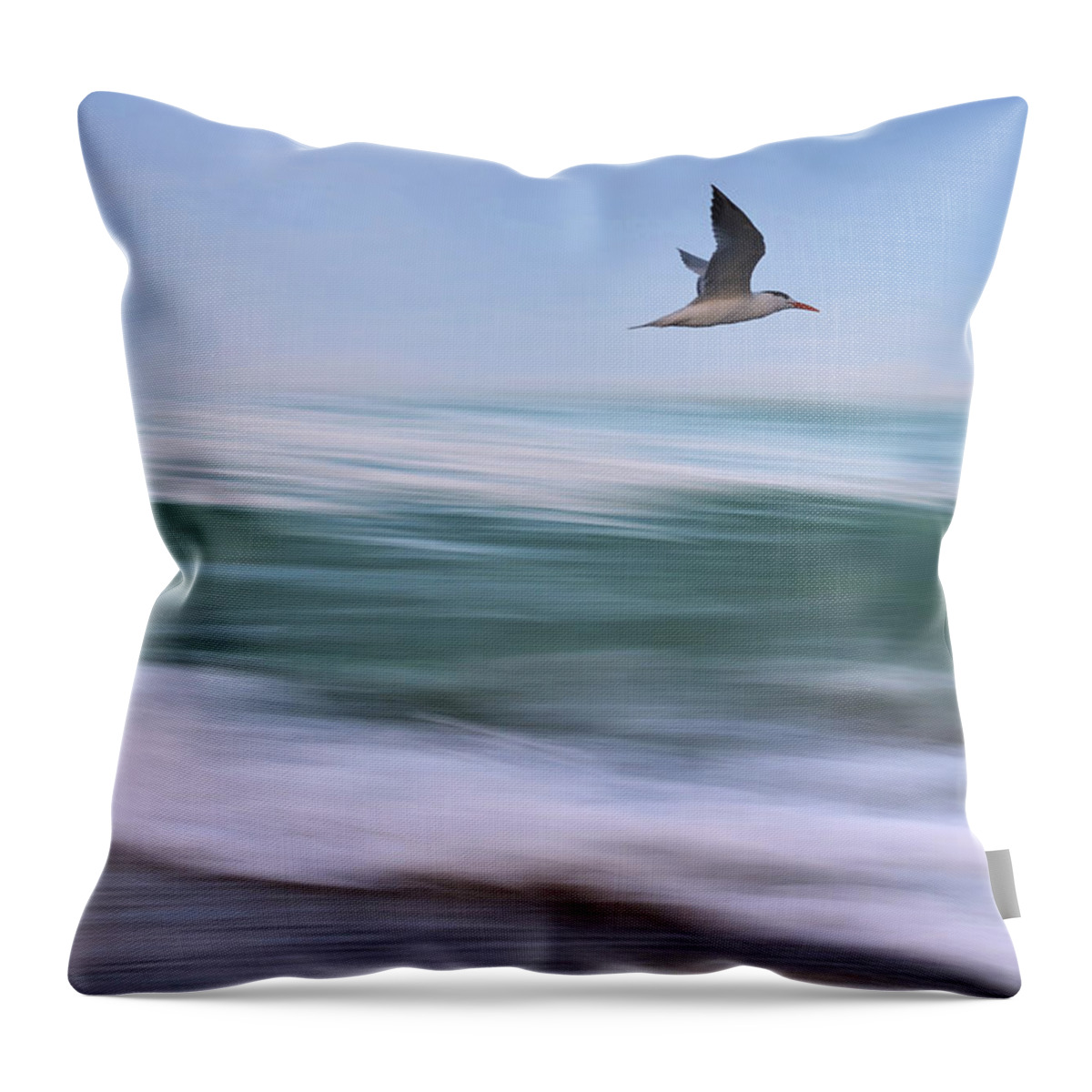 Ocean Throw Pillow featuring the photograph In Flight by Laura Fasulo