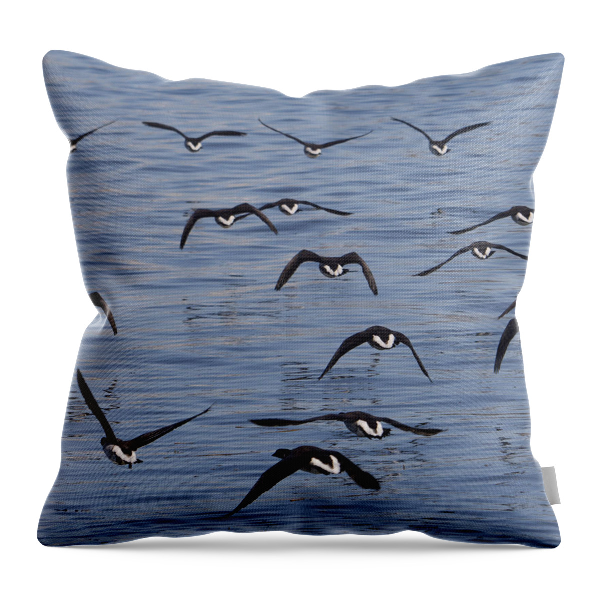 Birds Throw Pillow featuring the photograph In Flight by Paul C Ross