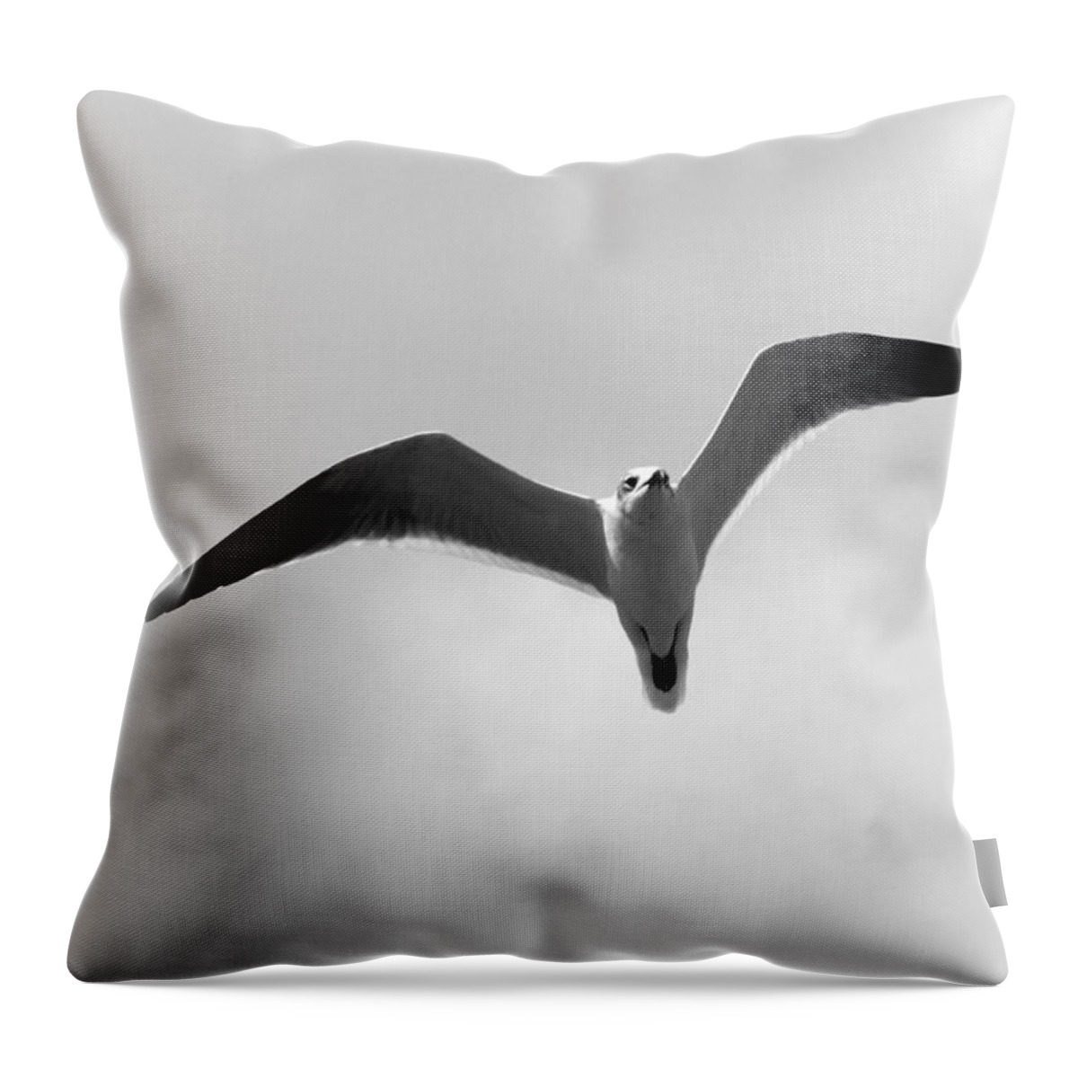 Photo For Sale Throw Pillow featuring the photograph In Flight by Robert Wilder Jr