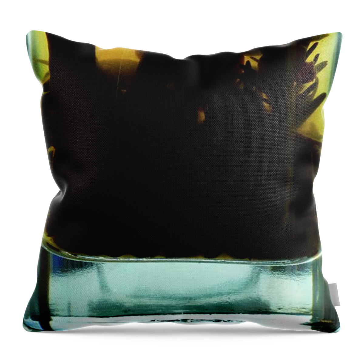 Olive Oil Throw Pillow featuring the photograph In Glass by Lyle Crump